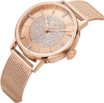 Fully Automatic Mechanical Watch