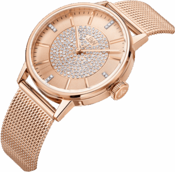 Fully Automatic Mechanical Watch